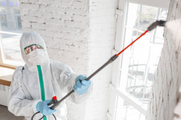 Best Forensic Mold Investigation  in Mountain Green, UT