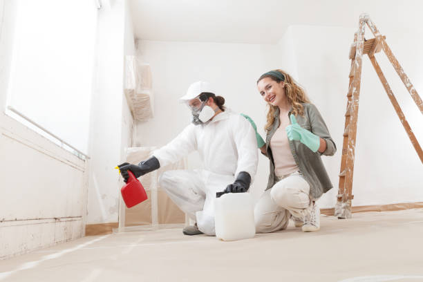 Mold Remediation for Vacation Homes in Mountain Green, UT